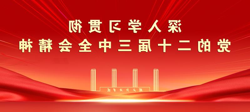 深入学校贯彻党的二十届三中全会精神